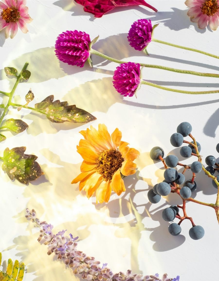 Colección Or de Lune: flores secas y bayas en composición de tonos cálidos