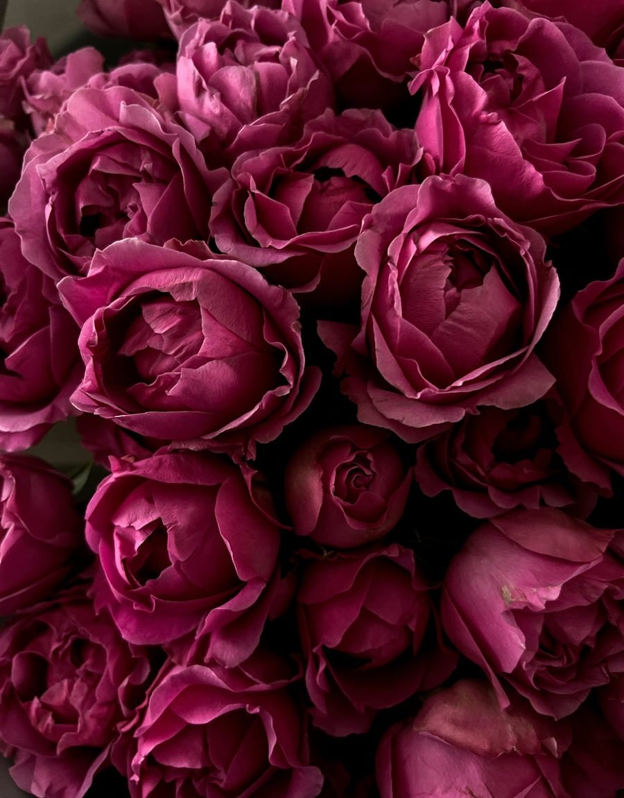 Colección Rose Ancienne: ramo de peonías y rosas en tonos rosa antiguo